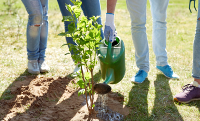 환경보건시스템학과